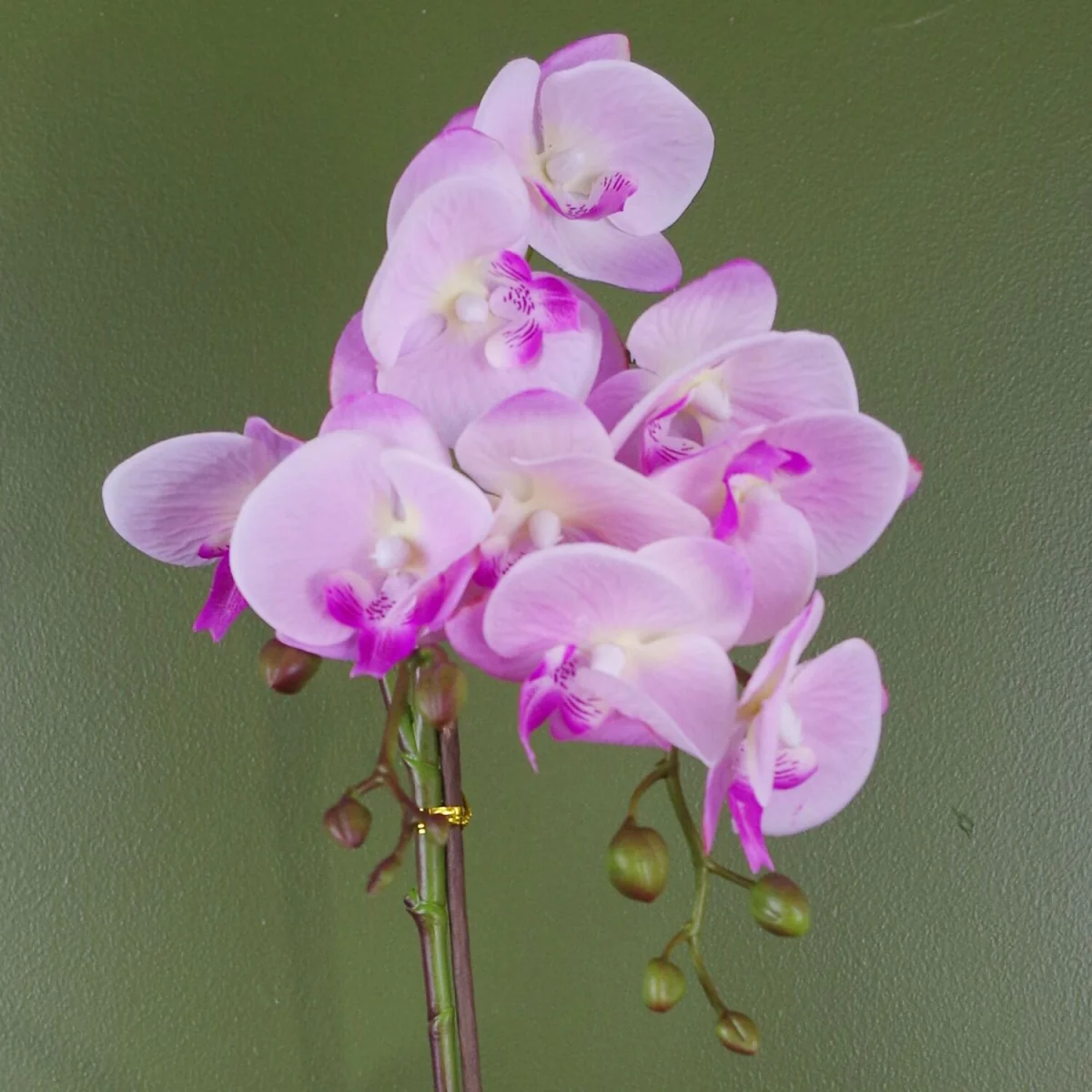 Realistic Artificial Orchid Plants Fully Potted - Light Pink Silver / 1.0 / Silver honeycomb – image 2