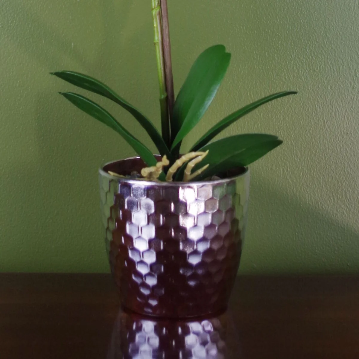 Realistic Artificial Orchid Plants Fully Potted - Light Pink Silver / 1.0 / Silver honeycomb – image 3