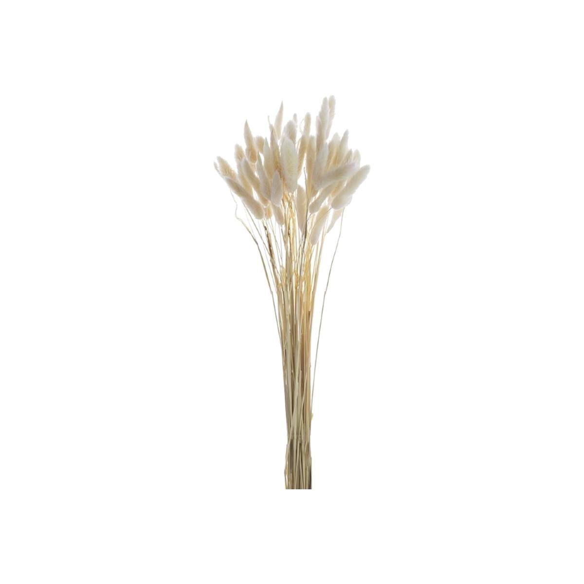 50 Piece Pussy Willow Bouquet - White