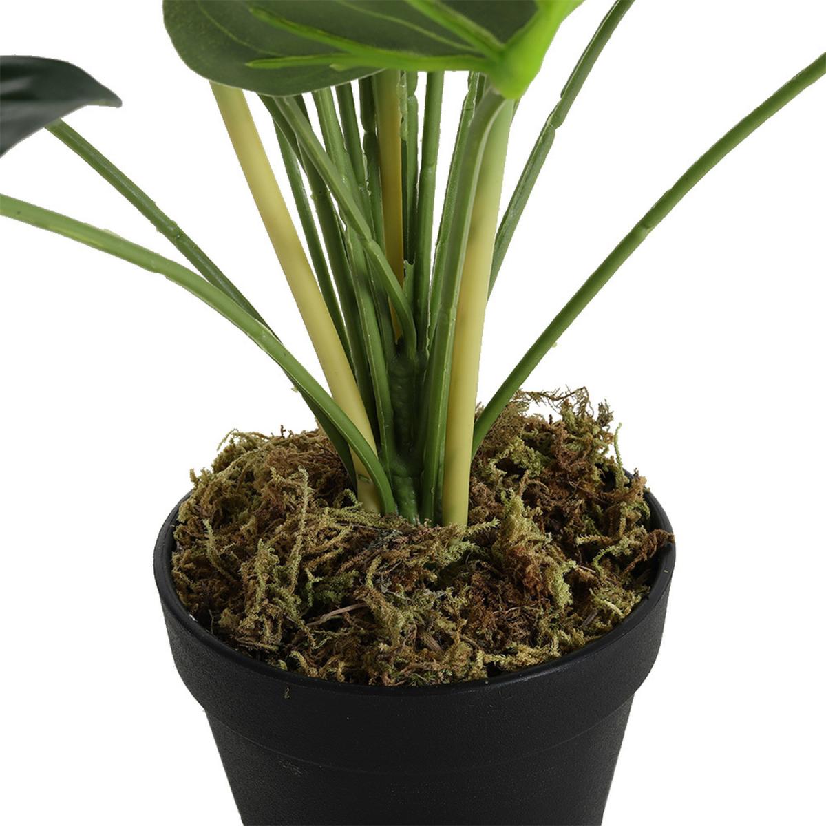 75cm Artificial Potted Bird of Paradise Palm Tree - Green – image 4