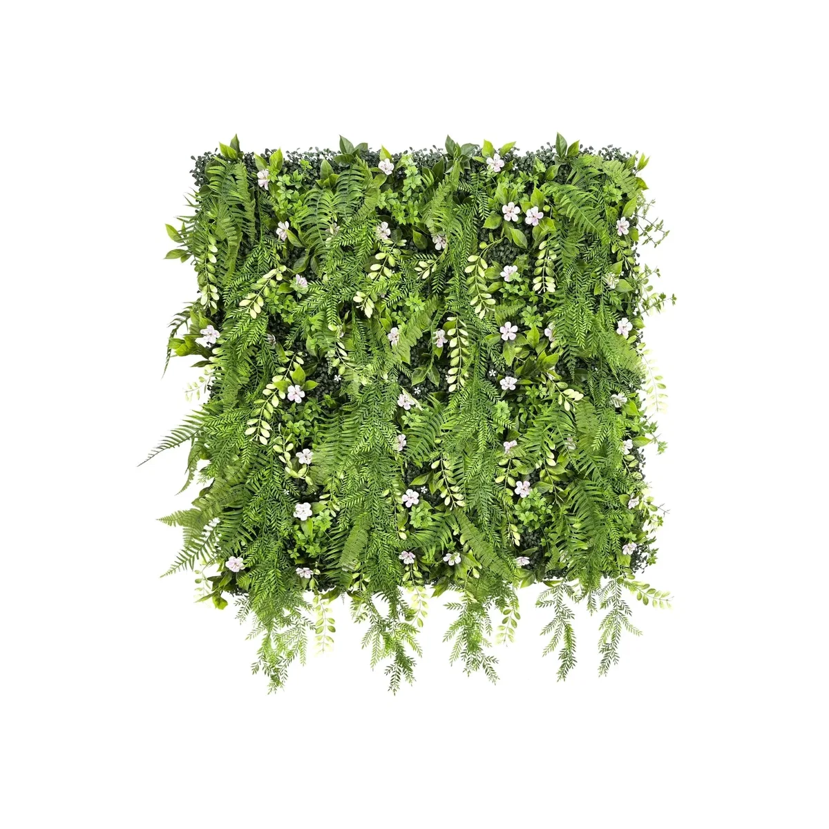 Evervine - Evervine / Evervine