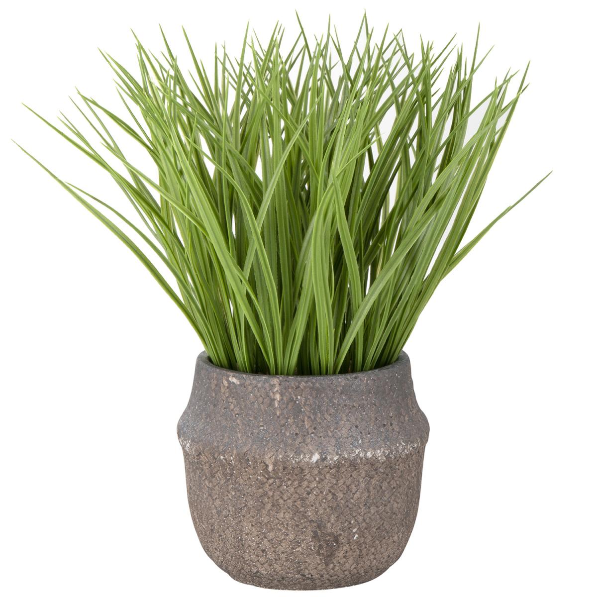 Large Grass In A Decorative Pot – image 2