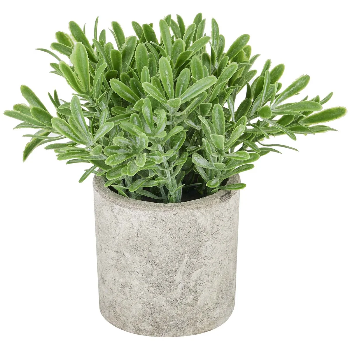 Buxus Artificial Plant in Stone Effect Pot - Green – image 2