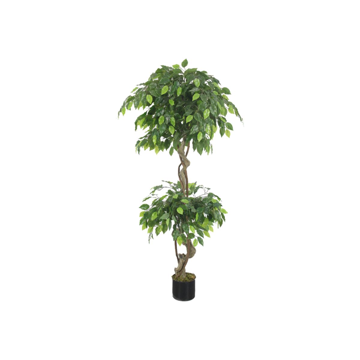Artificial Twisted Ficus Tree - Green
