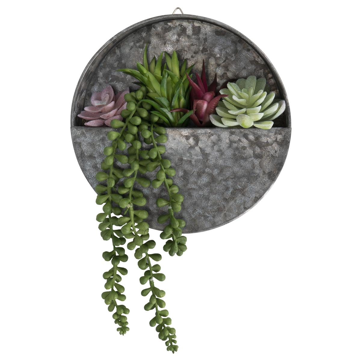 Succulent Wall Hanging – image 2