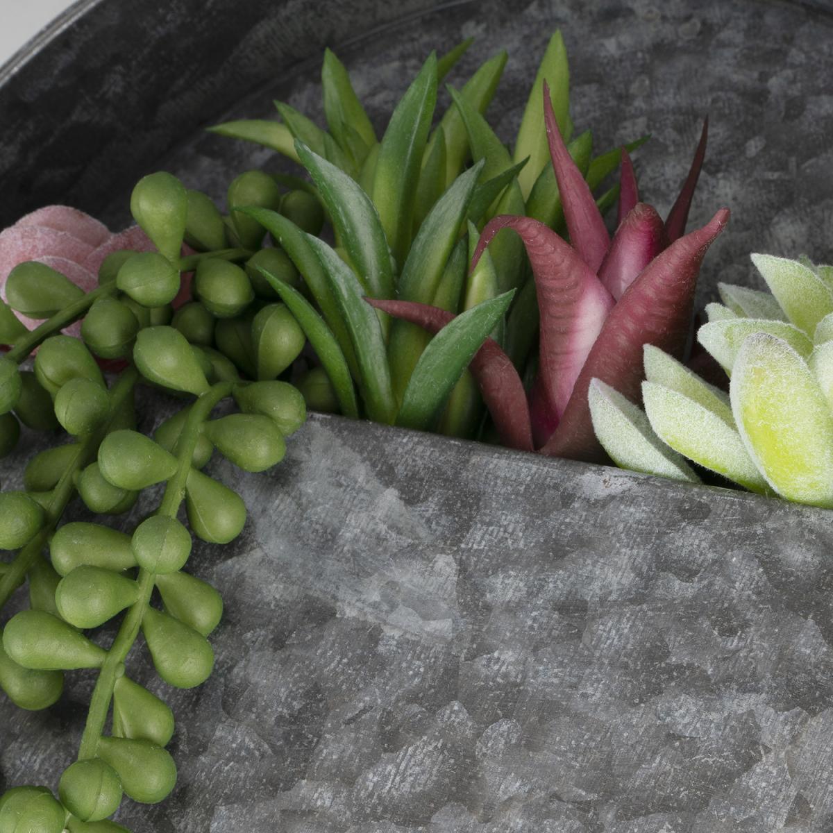 Succulent Wall Hanging – image 3