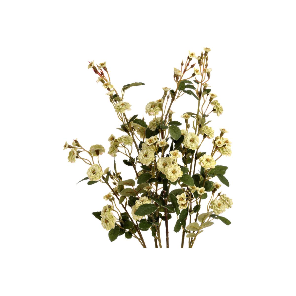 Floral Delight Wild Meadow Rose - Green