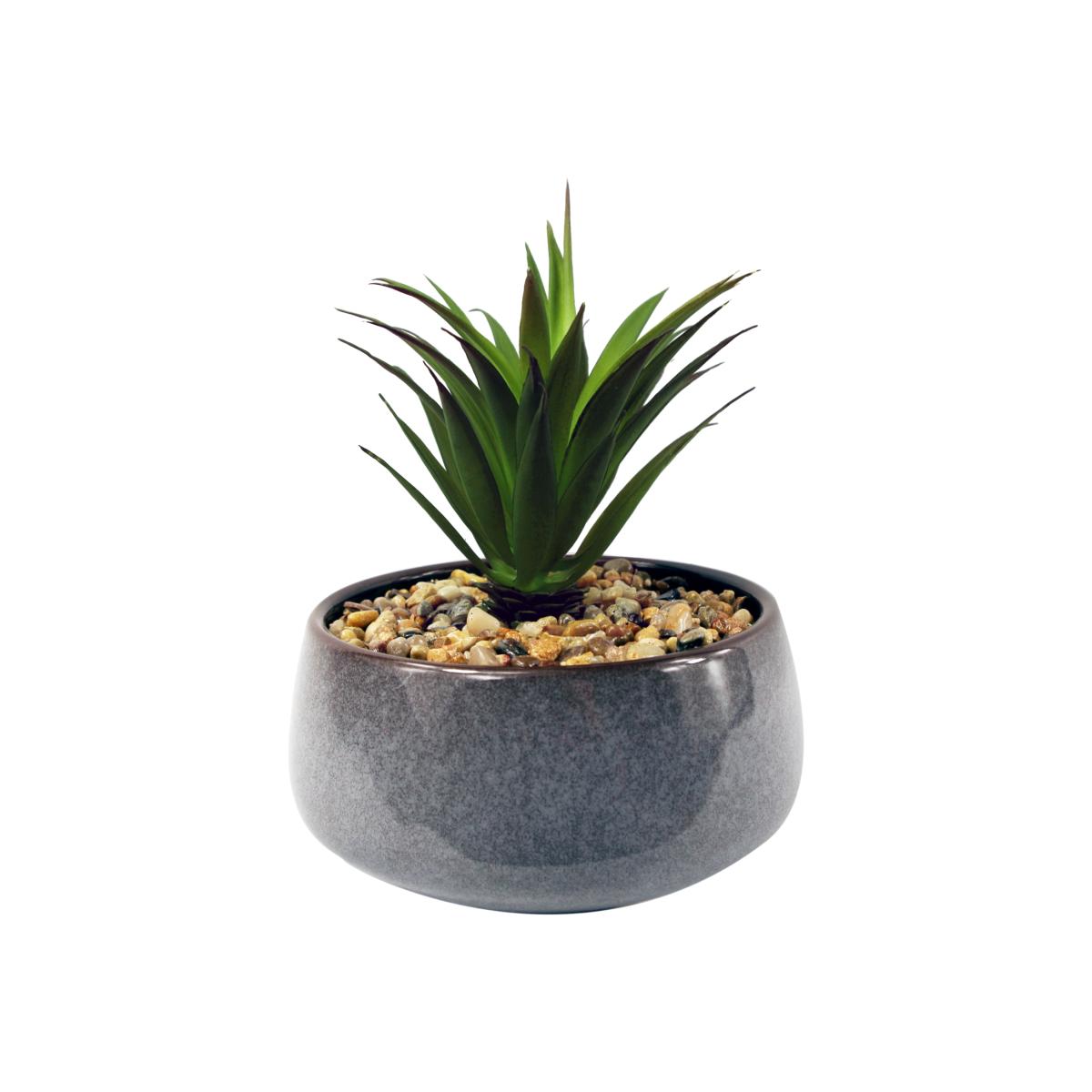 Ceramic Blue Dish Planter Artificial Green Dracaena Plant - Blue
