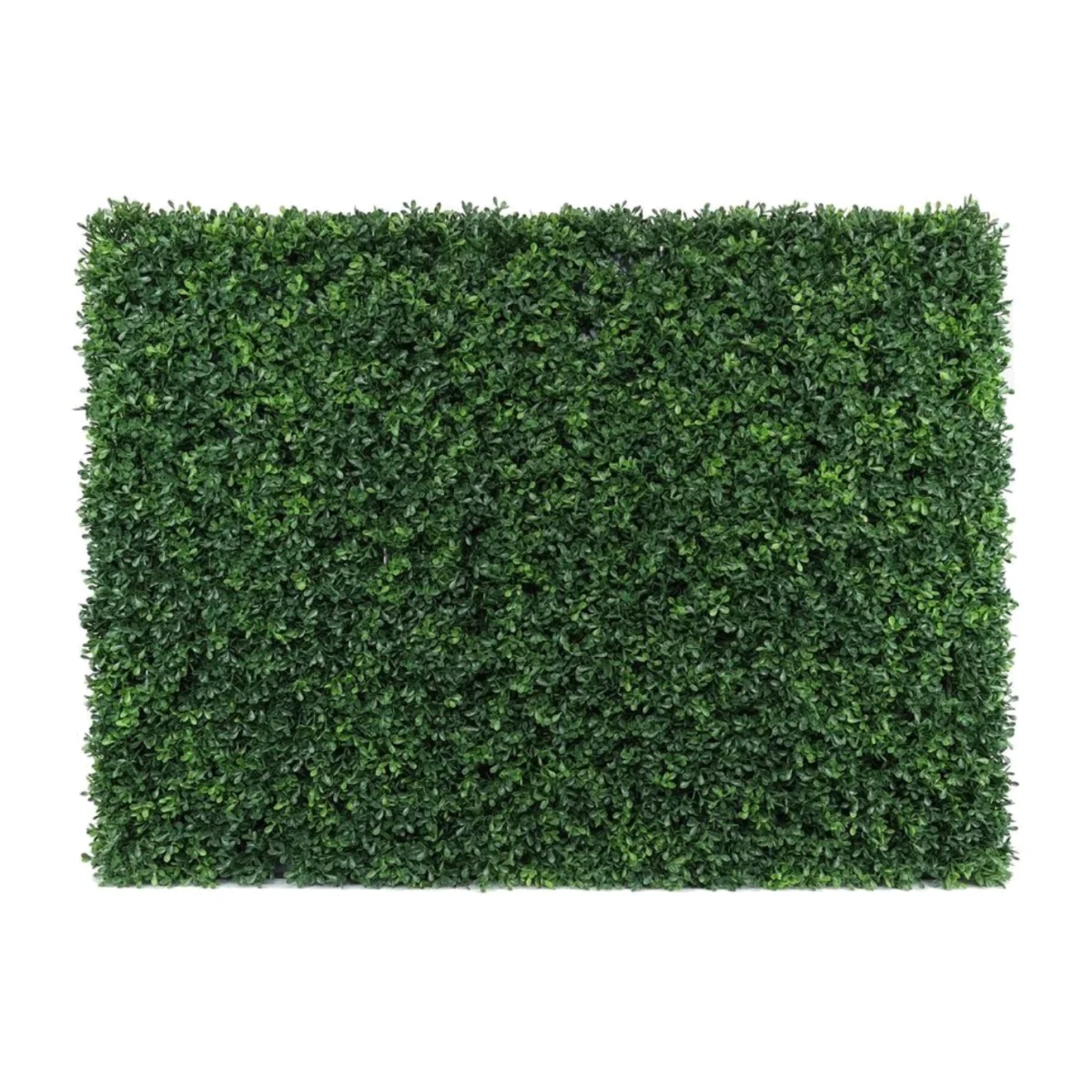 UV Botanica Hedge Green Artificial Flowers S16571 - Green