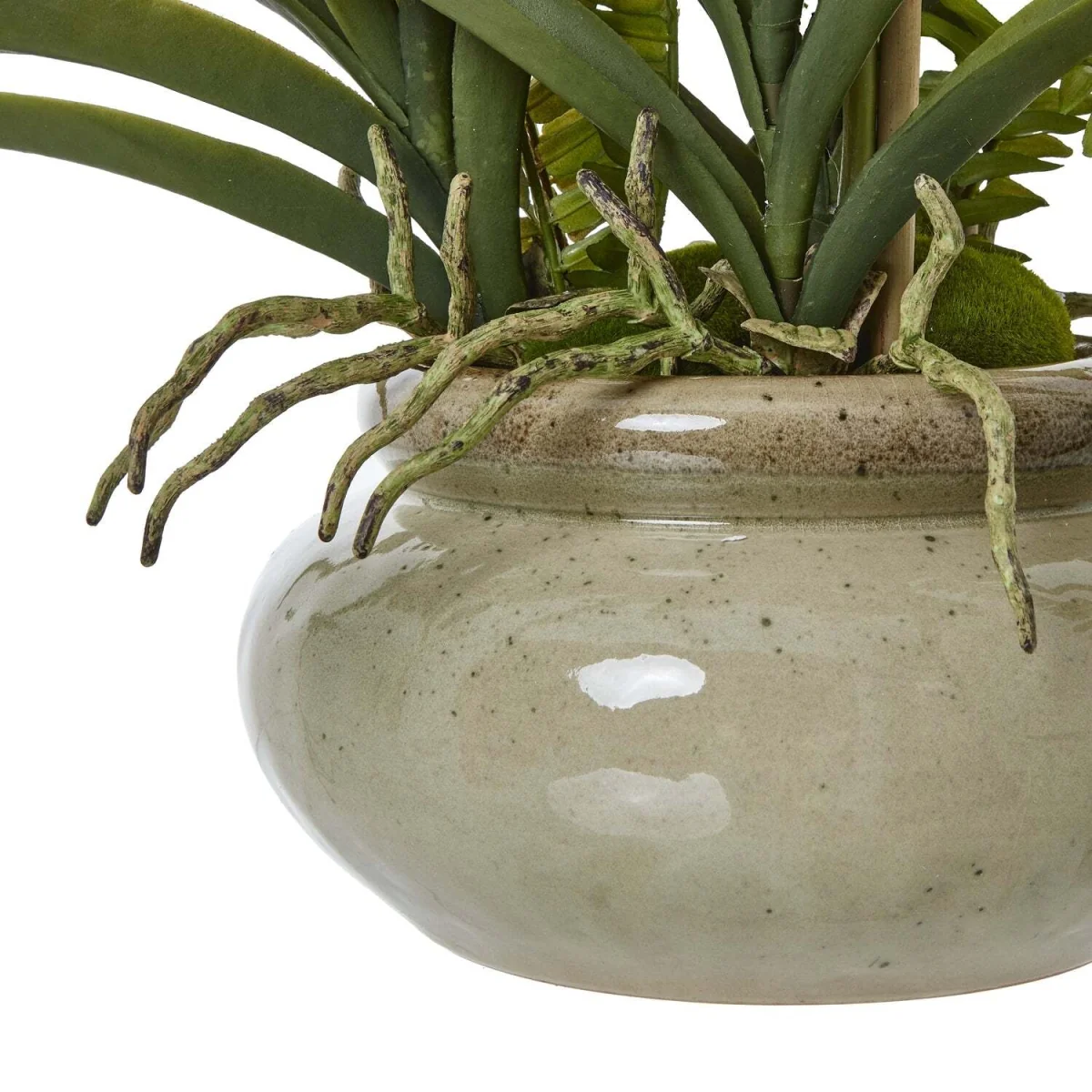Vanda Orchid Artificial Plant in Glossy Ceramic Pot - White – image 2