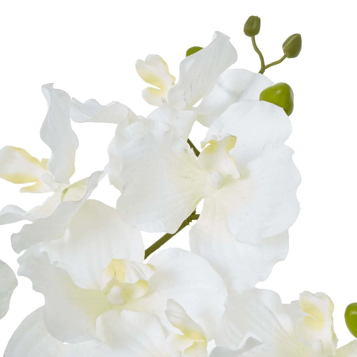 Vanda Orchid Artificial Plant in Glossy Ceramic Pot - White – image 3