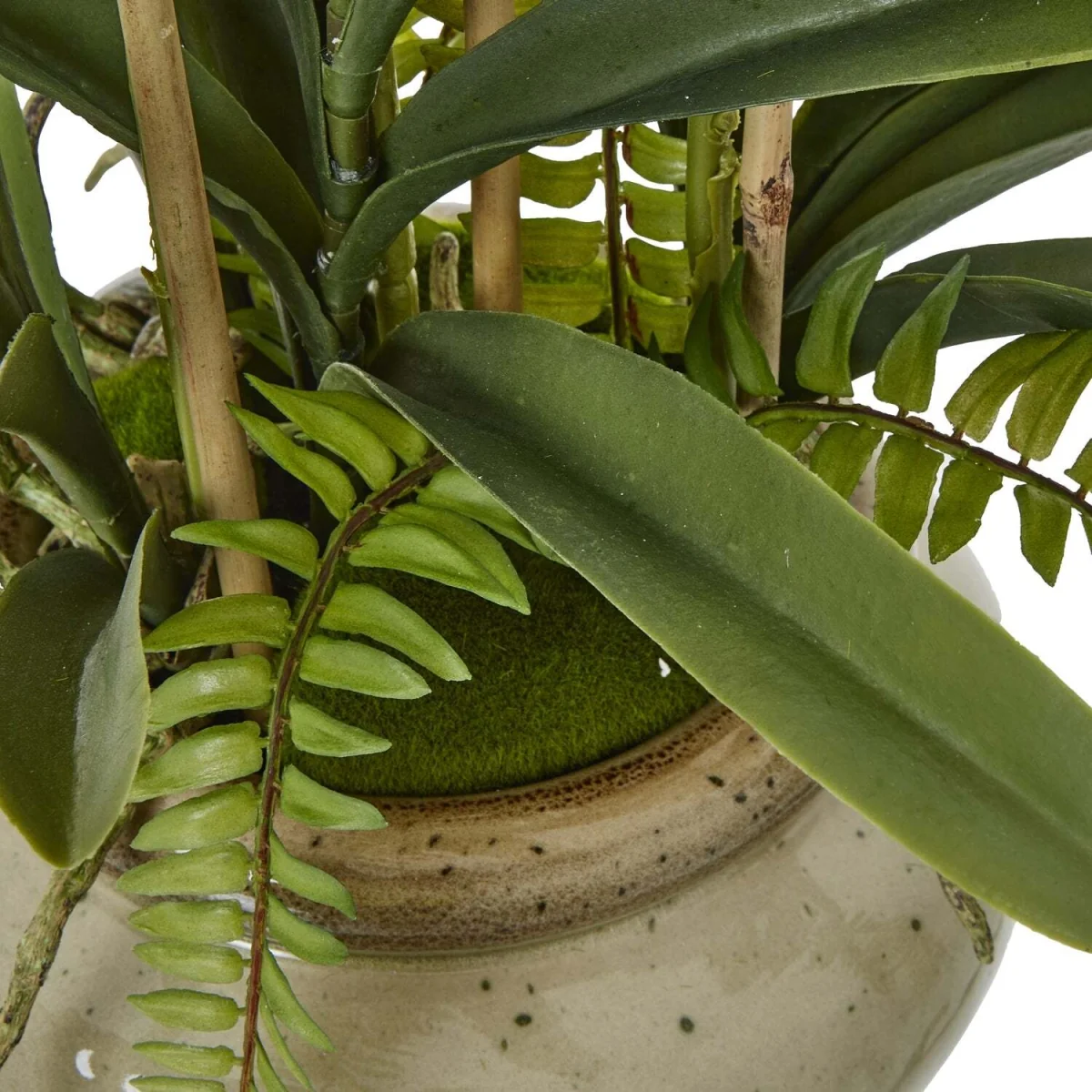 Vanda Orchid Artificial Plant in Glossy Ceramic Pot - White – image 4