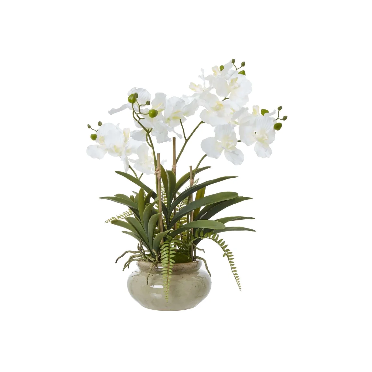 Vanda Orchid Artificial Plant in Glossy Ceramic Pot - White – image 1