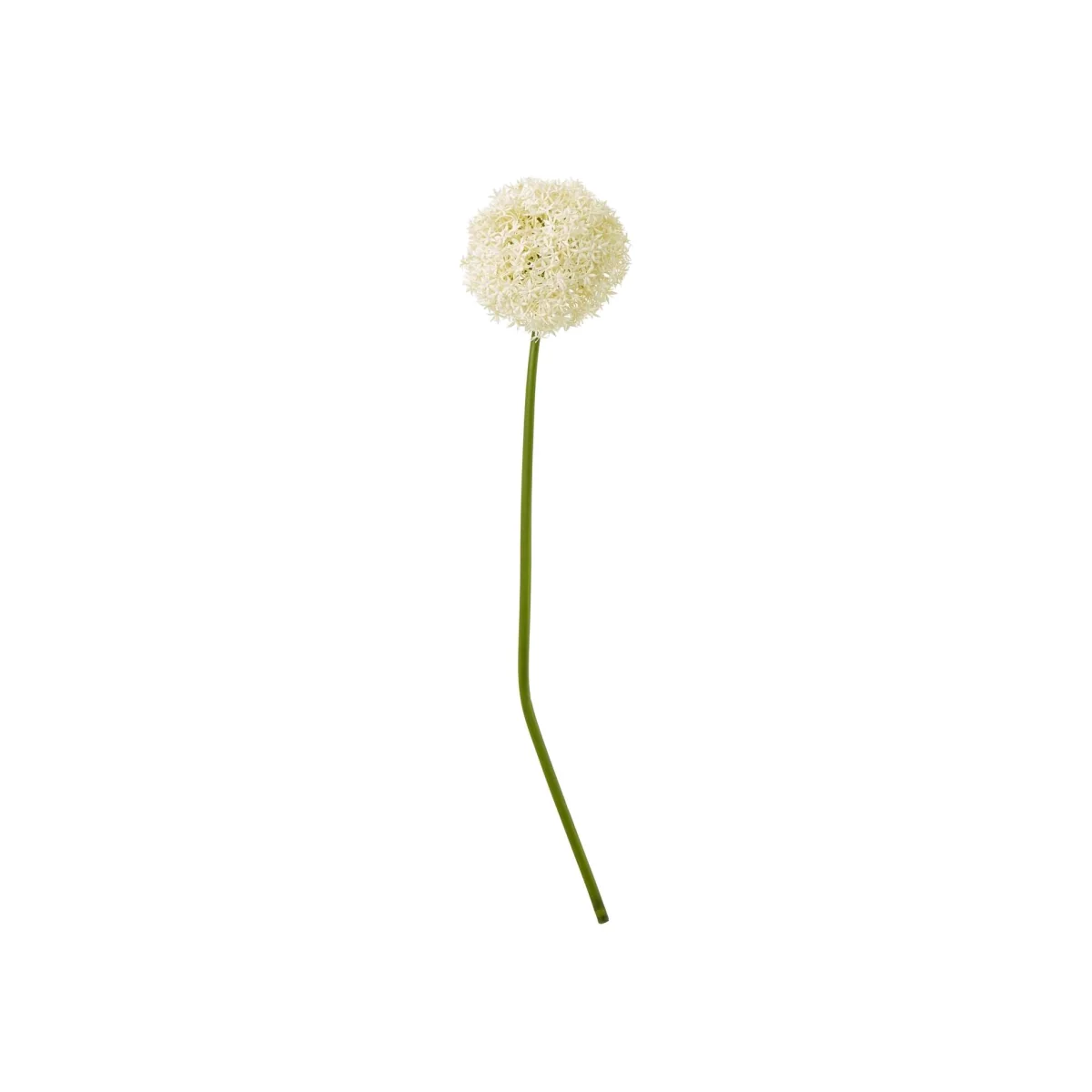 Cream Giant Allium Stem Artificial Flower Stem - Cream – image 1