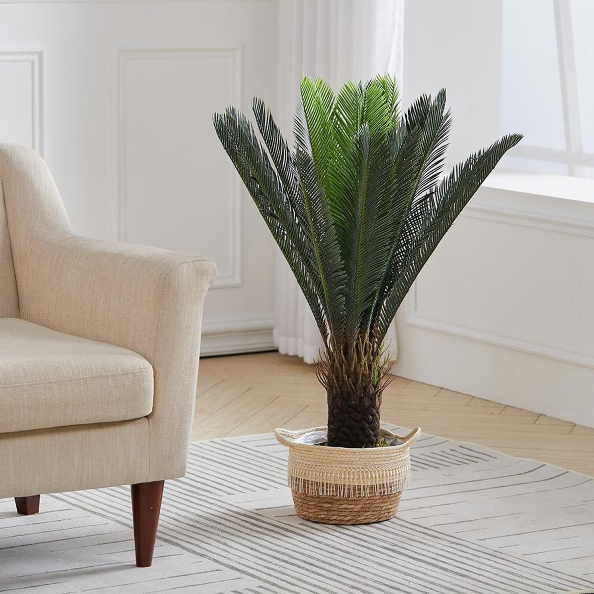 Artificial Cycas Decorative Plant in Planter - Green – image 5