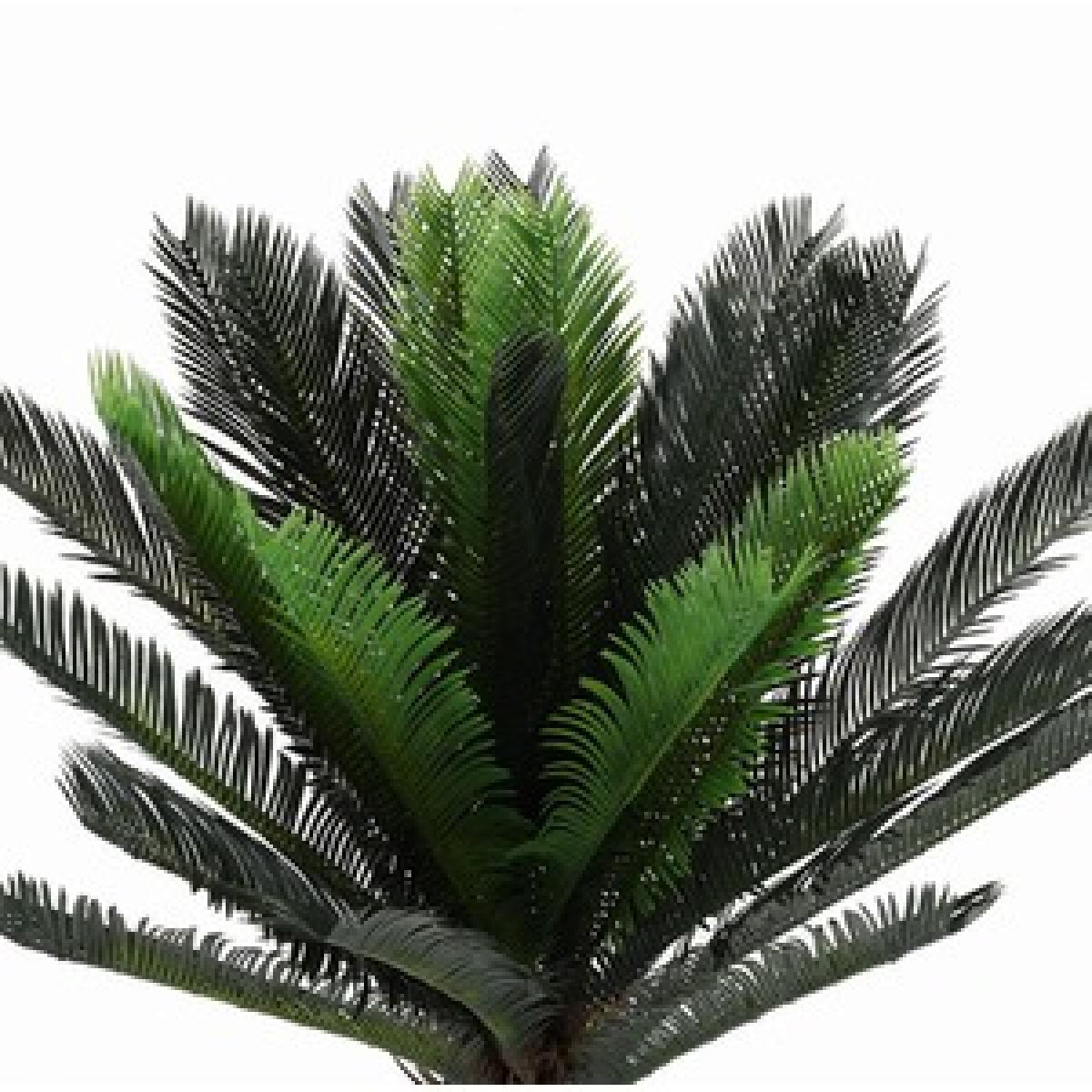 Artificial Cycas Decorative Plant in Planter - Green – image 7