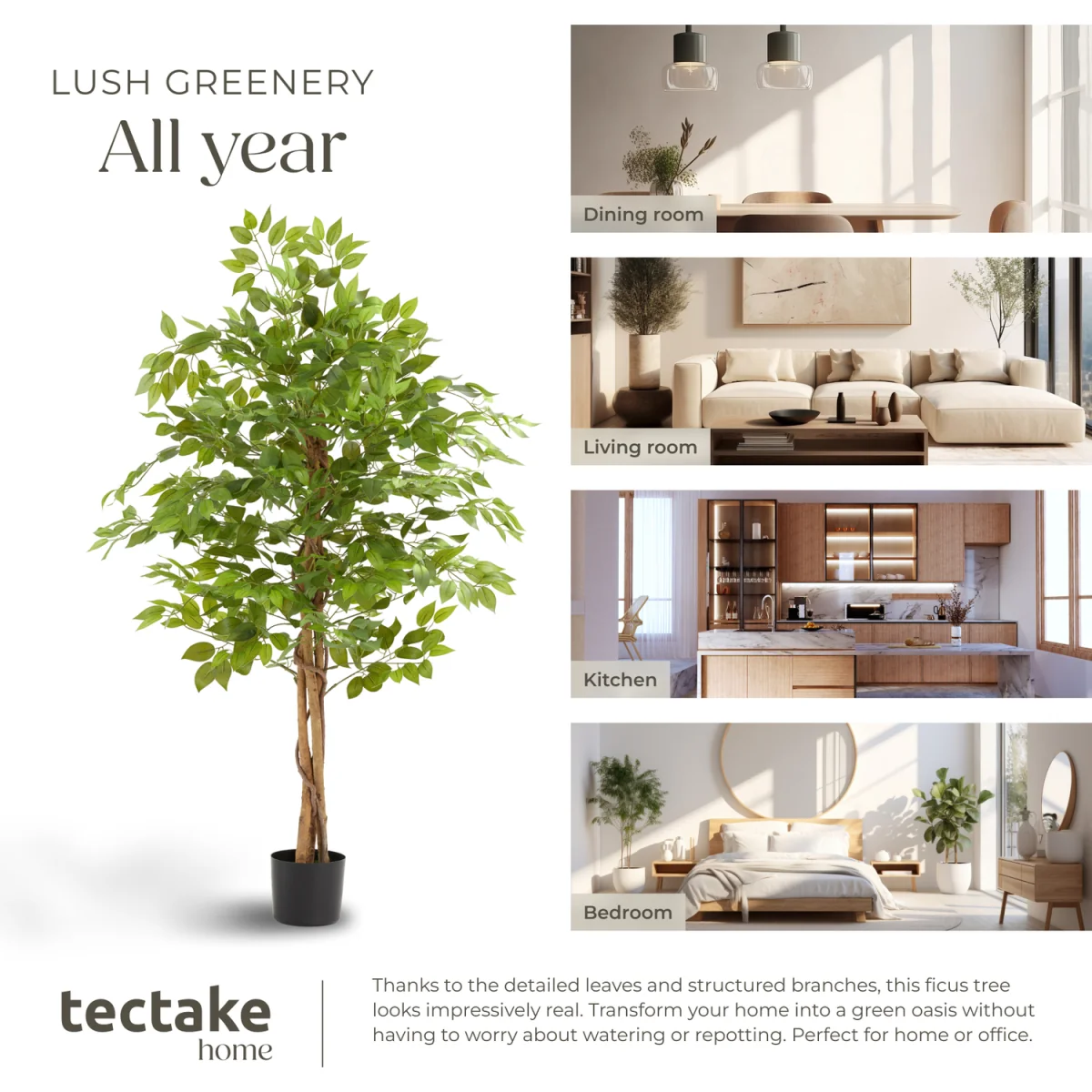 Artificial Plant - Detailed And Lifelike, Ficus Tree, Low-Maintenance - Green / 160cm – image 2