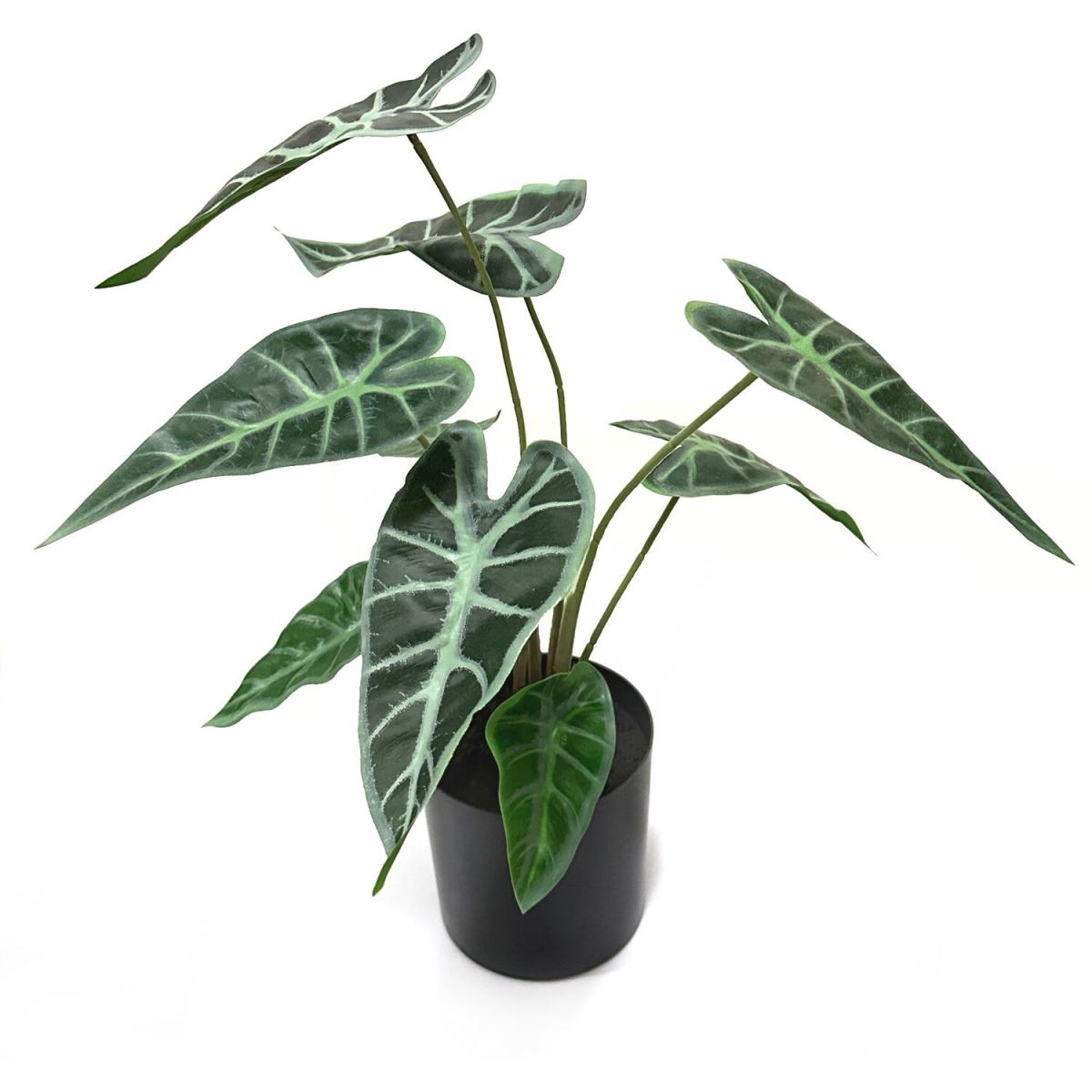 Artificial Alocasia Plant in Black Pot - Green – image 2