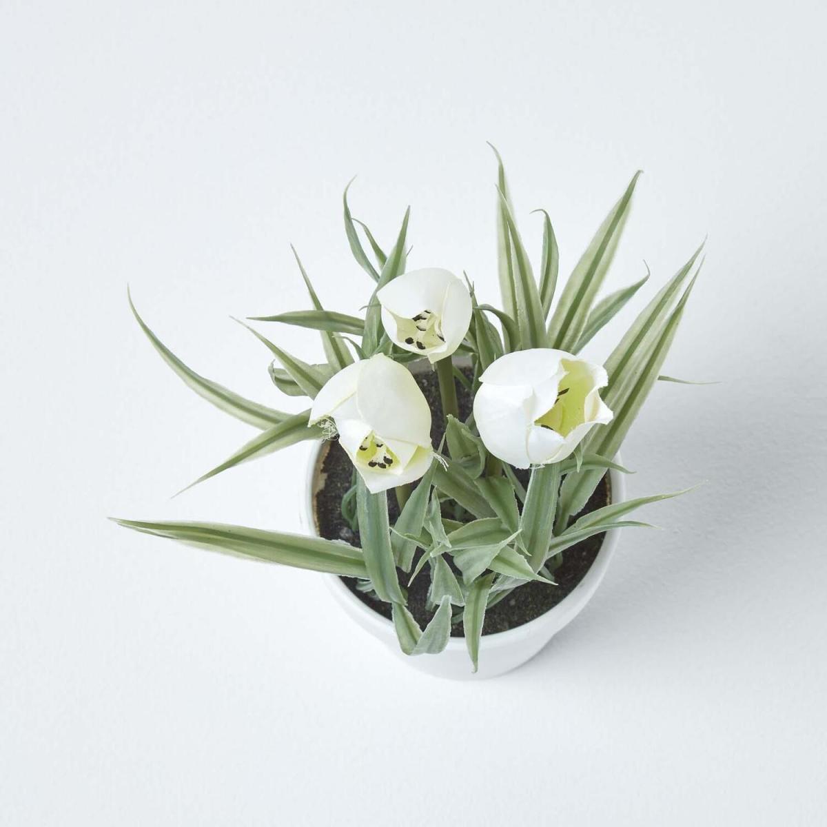 Homescapes White Artificial Tulips in White Decorative Pot, 22 cm Tall - White – image 2