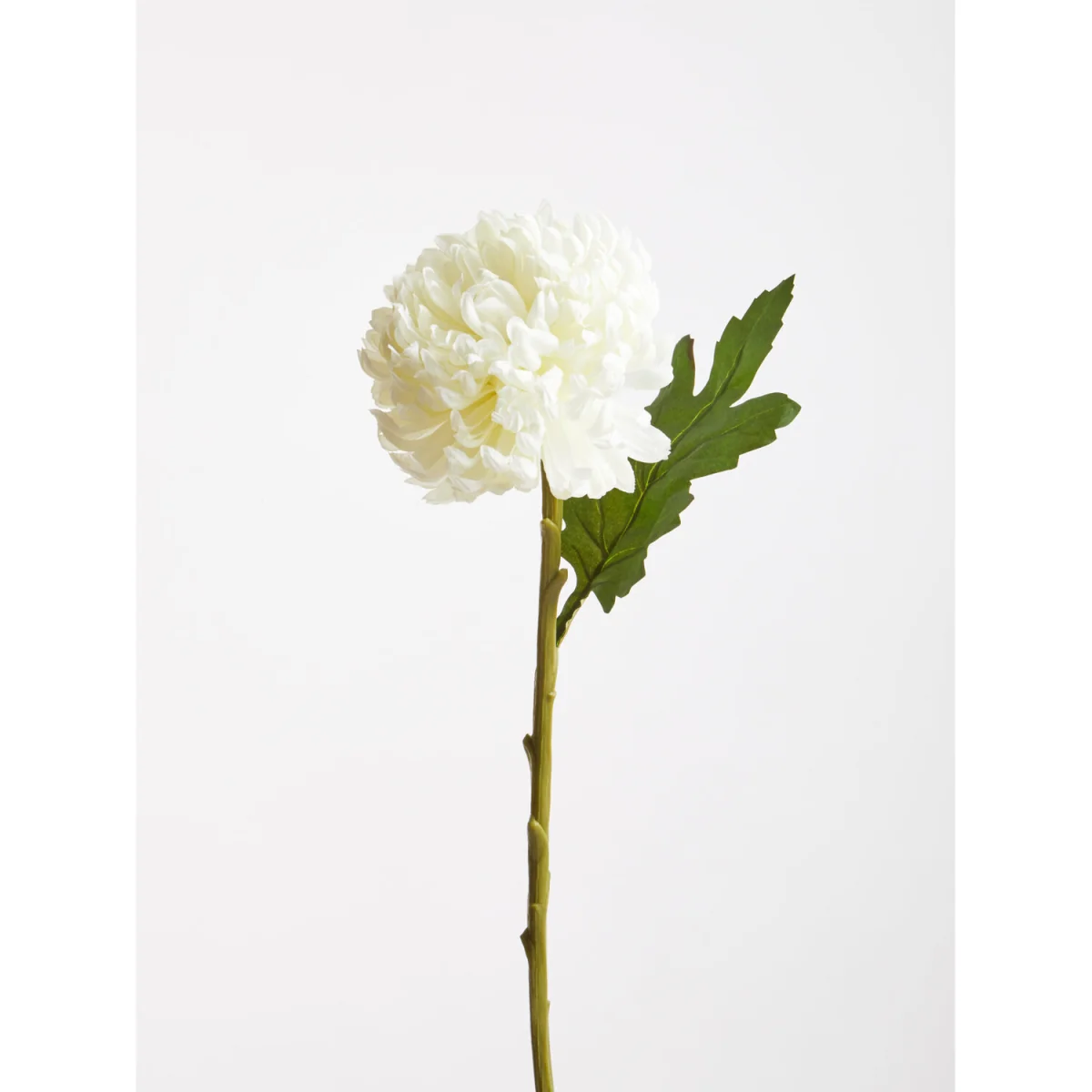 Fiori White Chrysanthemum Flower Stem - White – image 2