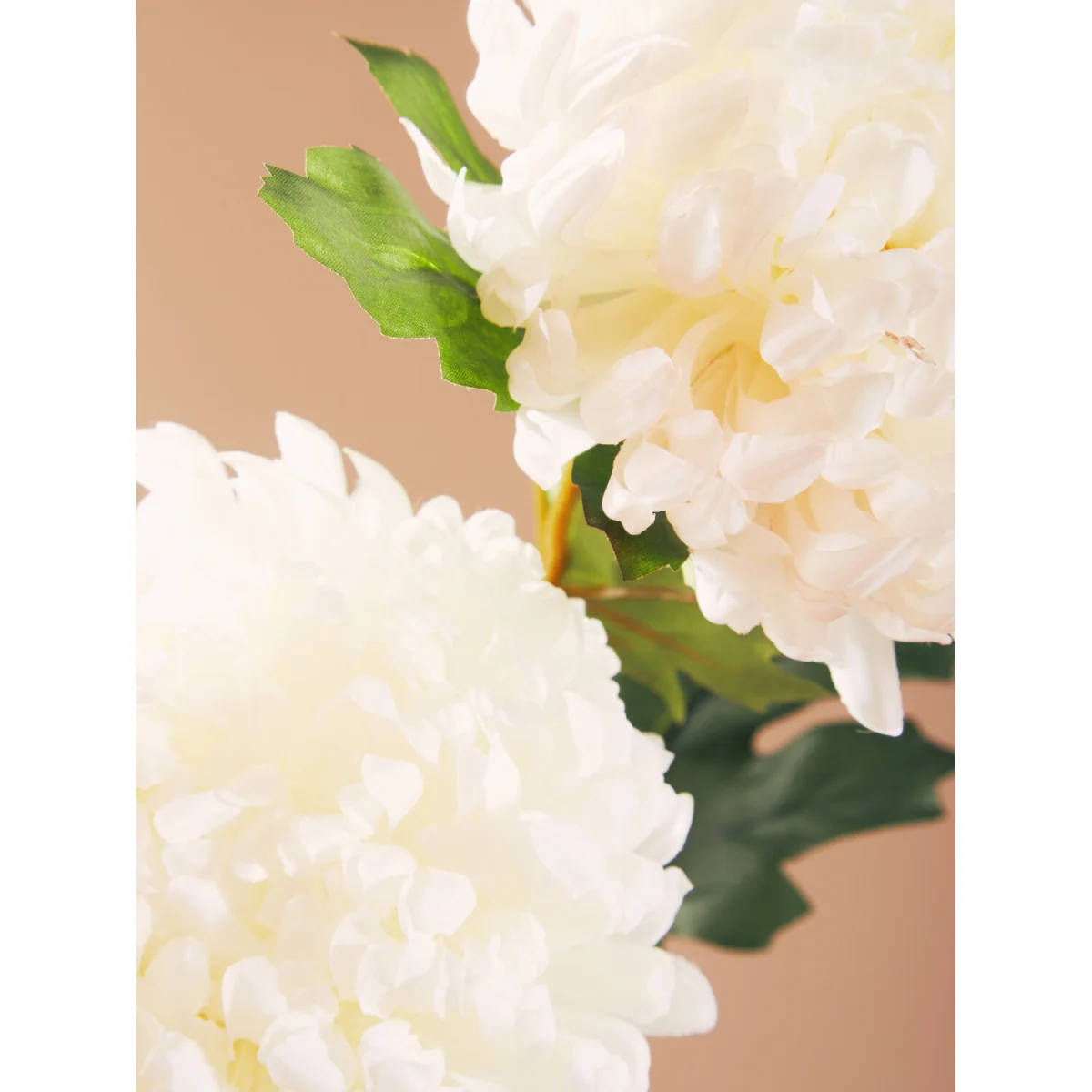 Fiori White Chrysanthemum Flower Stem - White – image 3