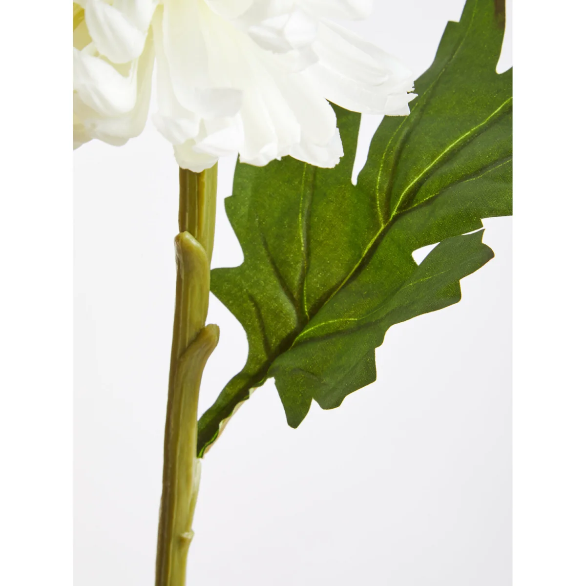 Fiori White Chrysanthemum Flower Stem - White – image 5