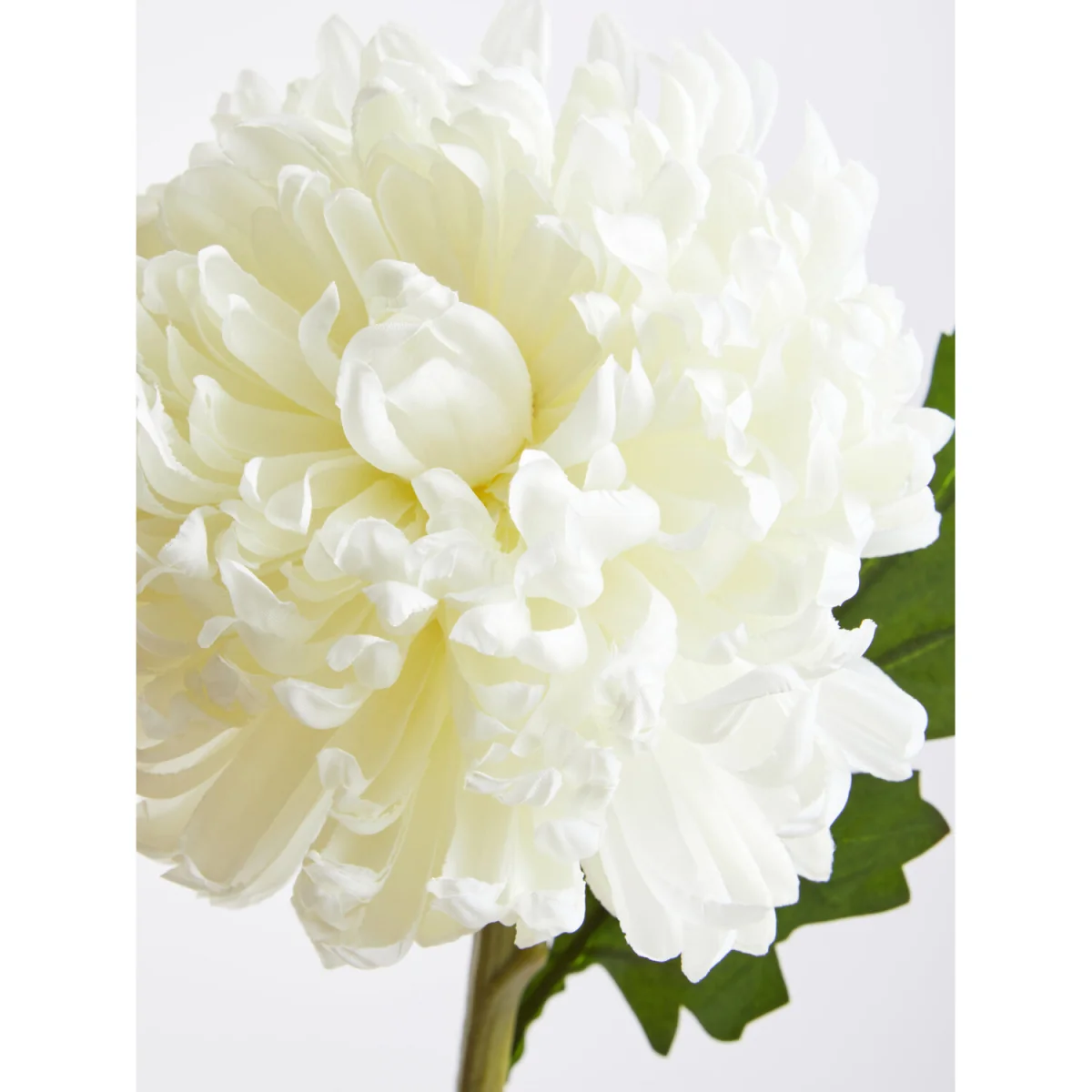 Fiori White Chrysanthemum Flower Stem - White – image 6