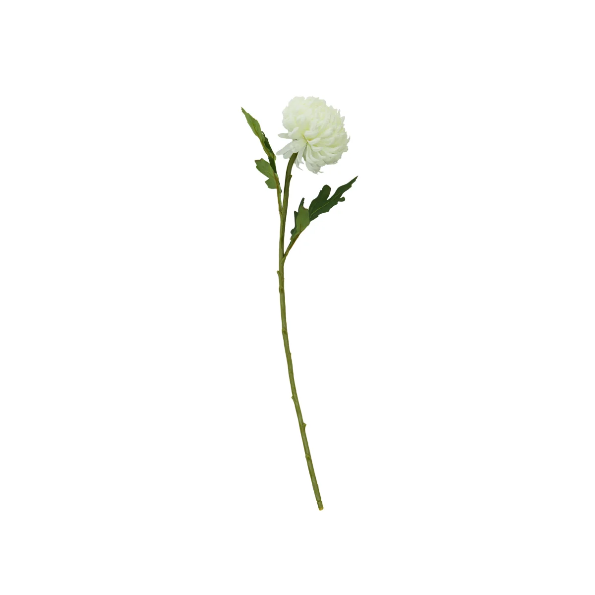 Fiori White Chrysanthemum Flower Stem - White – image 1