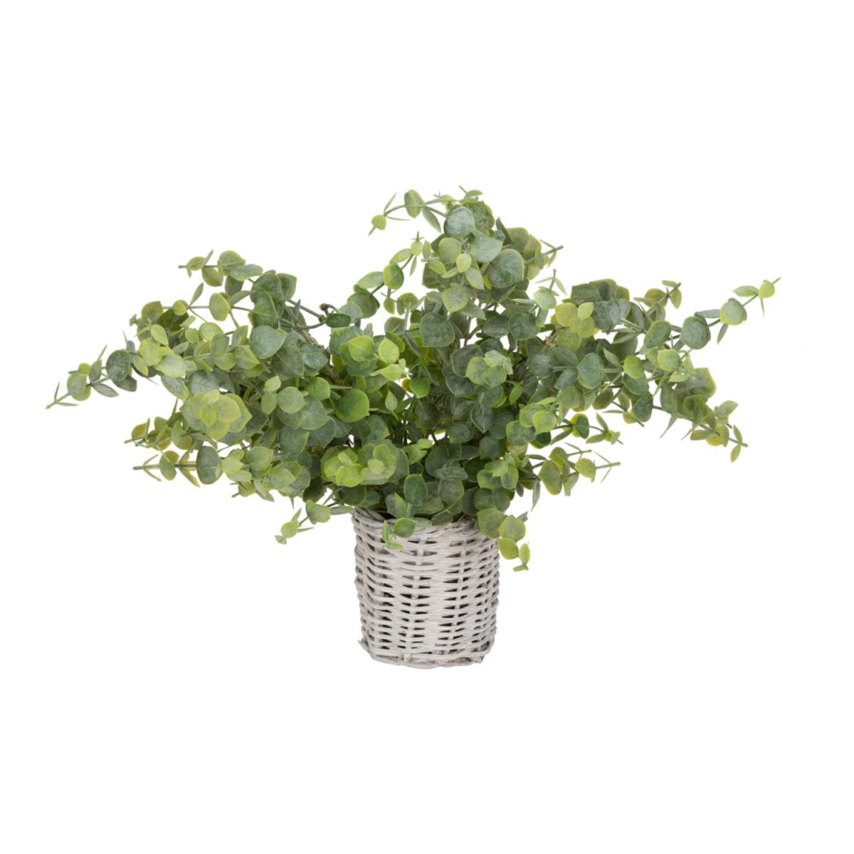 Eucalyptus in Basket - Green – image 2