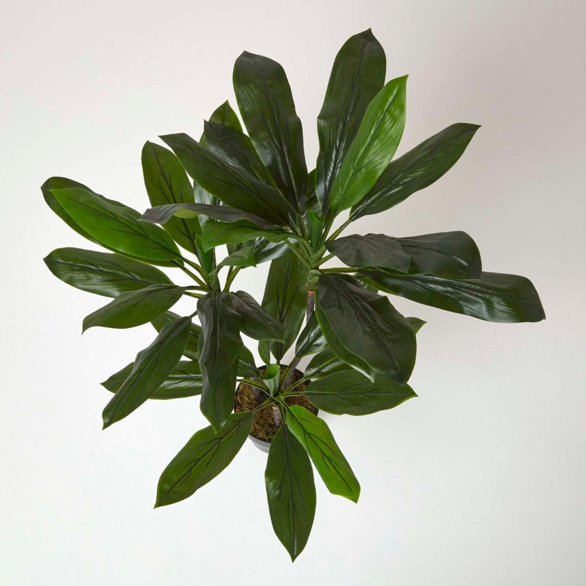 Homescapes Artificial Cordyline Plant in Pot, 100 cm Tall - Green – image 2