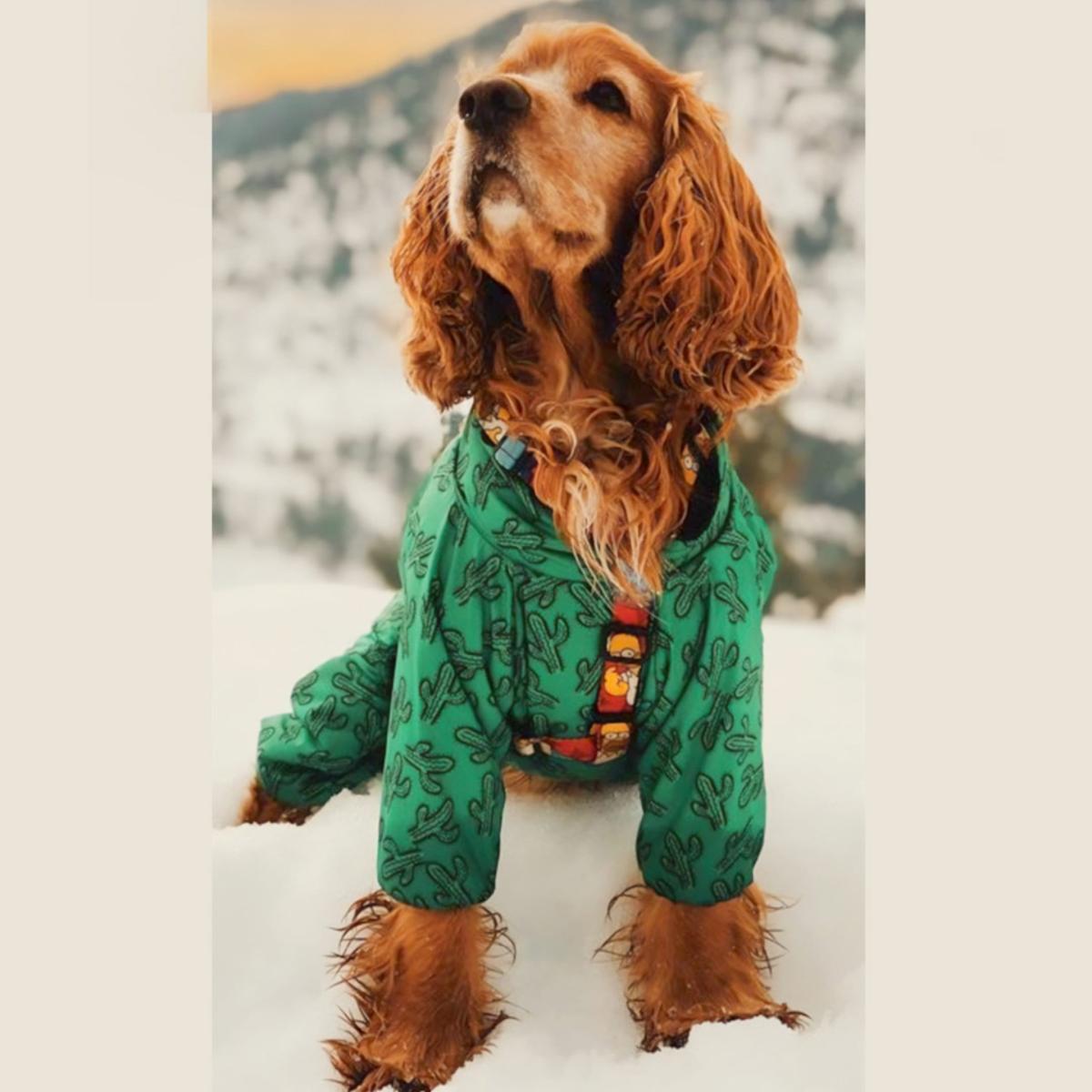 Green Cactus Coverall Dog Raincoat | Medium | Alphadog Design – image 5