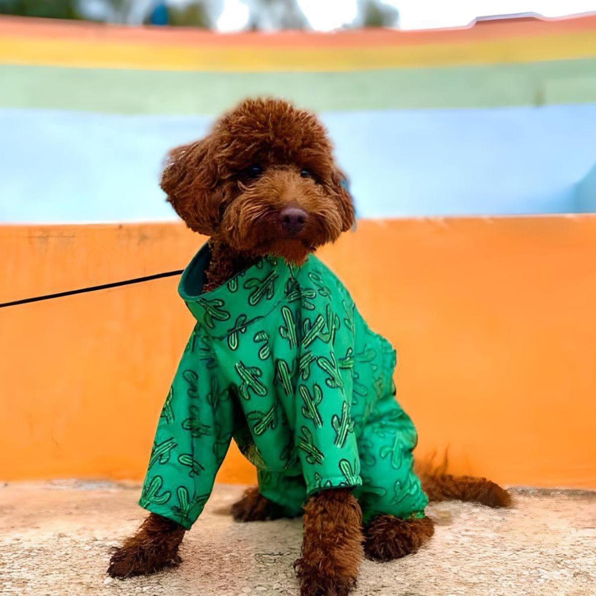 Green Cactus Coverall Dog Raincoat | Medium | Alphadog Design – image 6