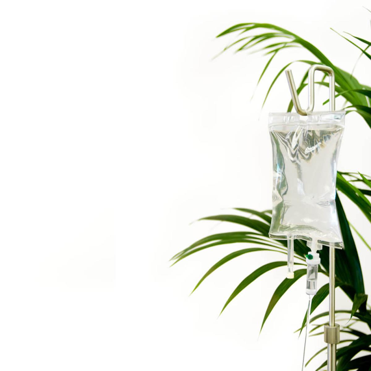 White I.V. Plant Pot – image 3