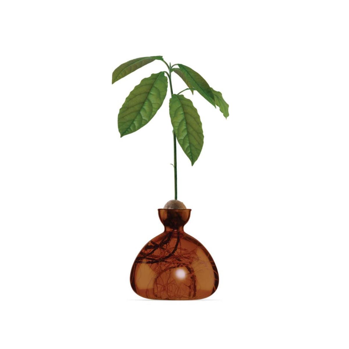 Graham and Green Brown Avocado Vase – image 5