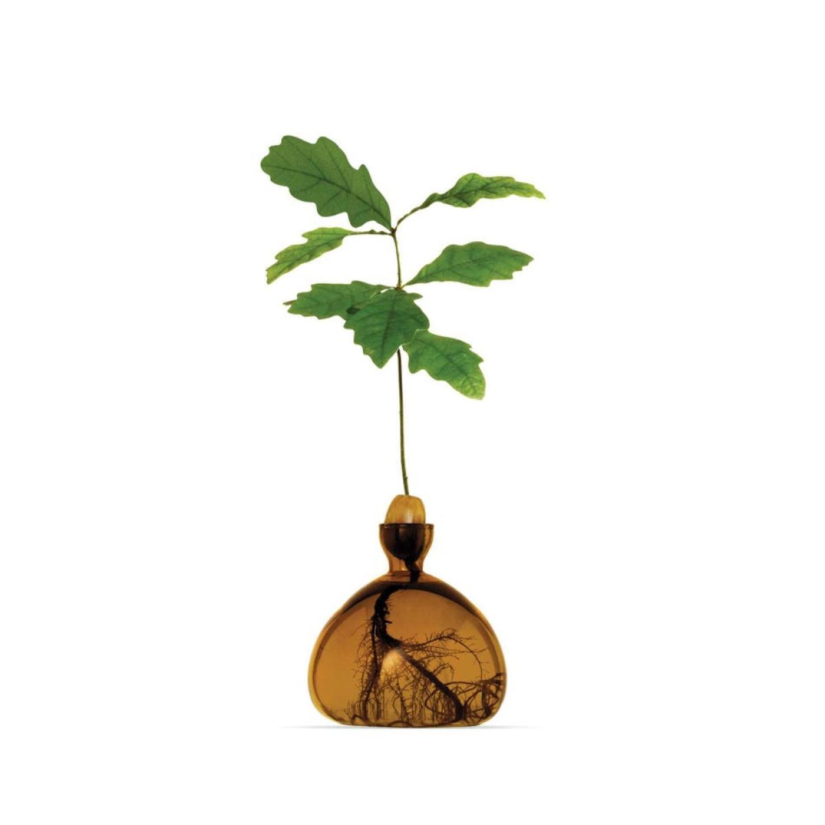 Graham and Green Brown Acorn Vase – image 4
