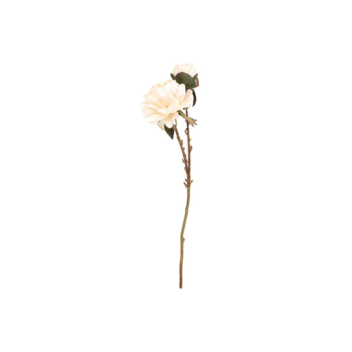 Abigail Ahern Peony Blush Faux Stem – image 2