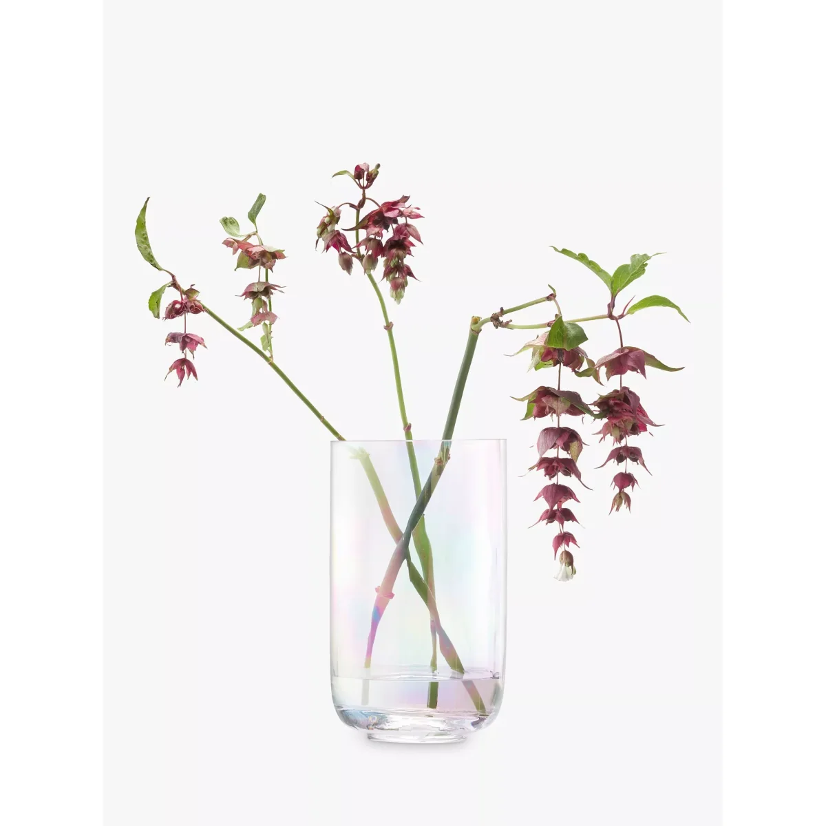 LSA International Pearl Optic Lantern/Vase, H18.5cm – image 3