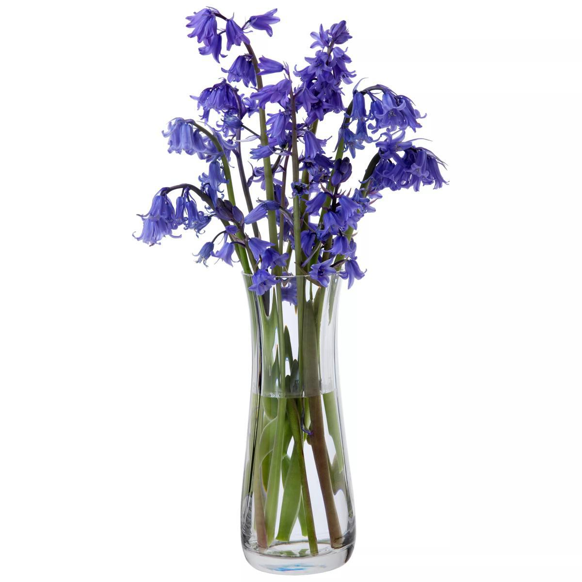 Dartington Crystal Florabundance Bluebell Vase, H18.5cm, Clear – image 3