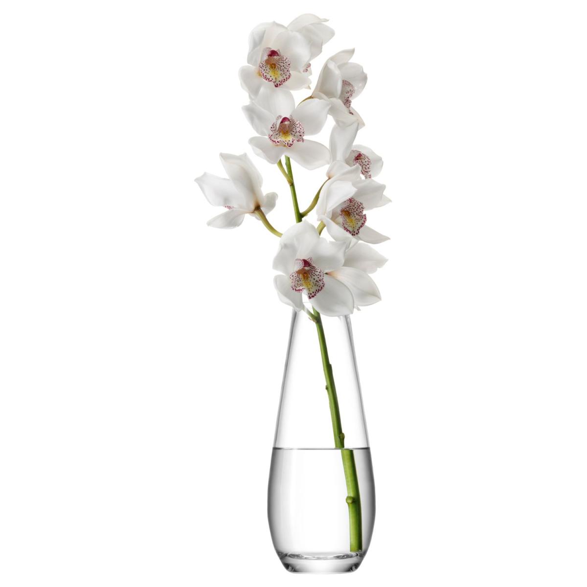 LSA International Flower Tall Stem Vase, H29cm, Clear – image 2
