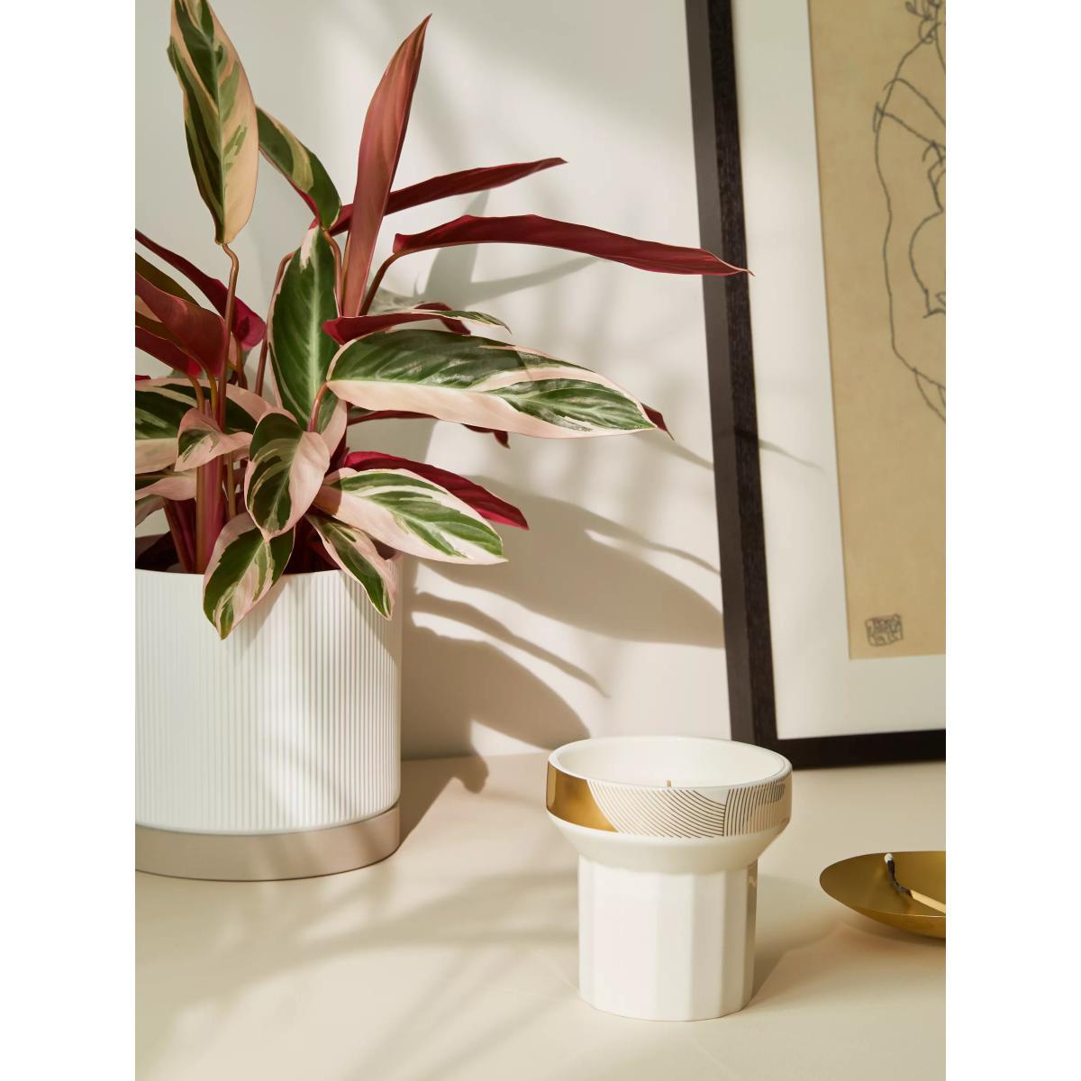 John Lewis & Partners Round Ribbed Planter Vase – image 4