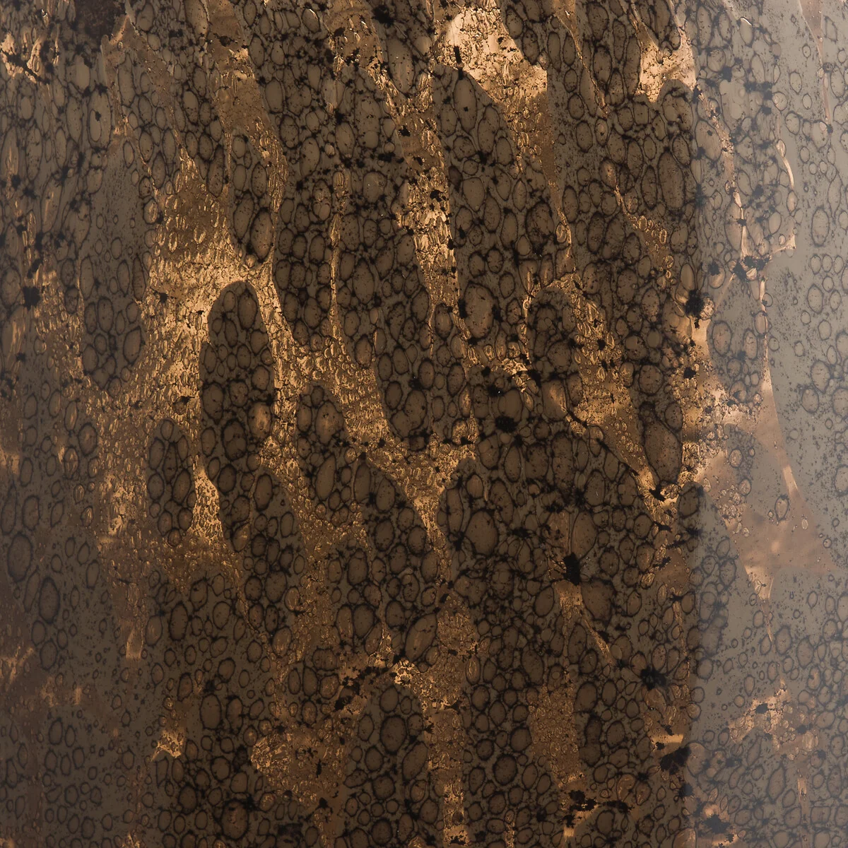 Remus Reactive Effect Glass Vase – image 5