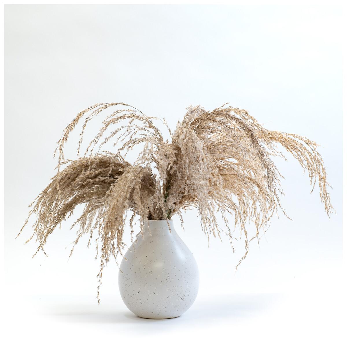 Pampas in White Vase – image 3