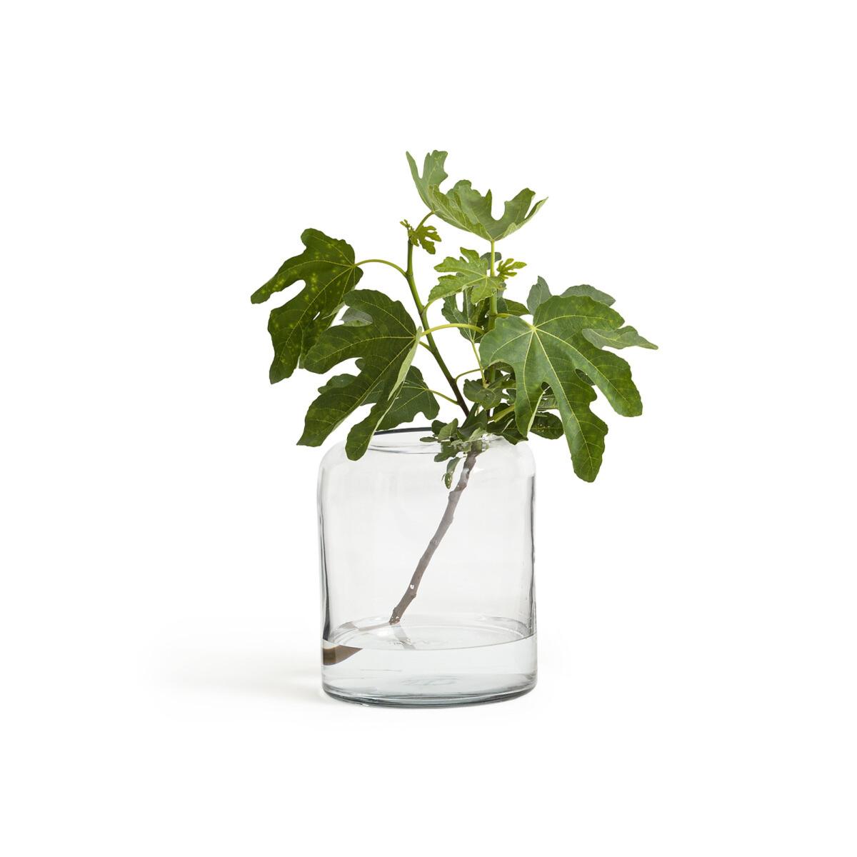 Hydria Transparent Glass Vase – image 4