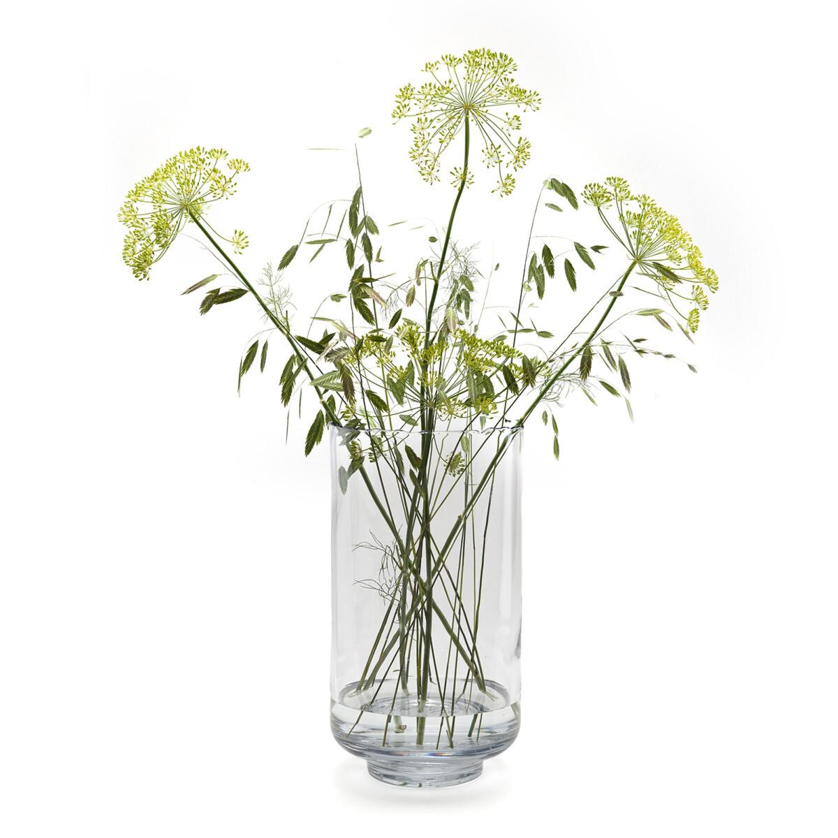 Livigo Transparent Glass Vase – image 4