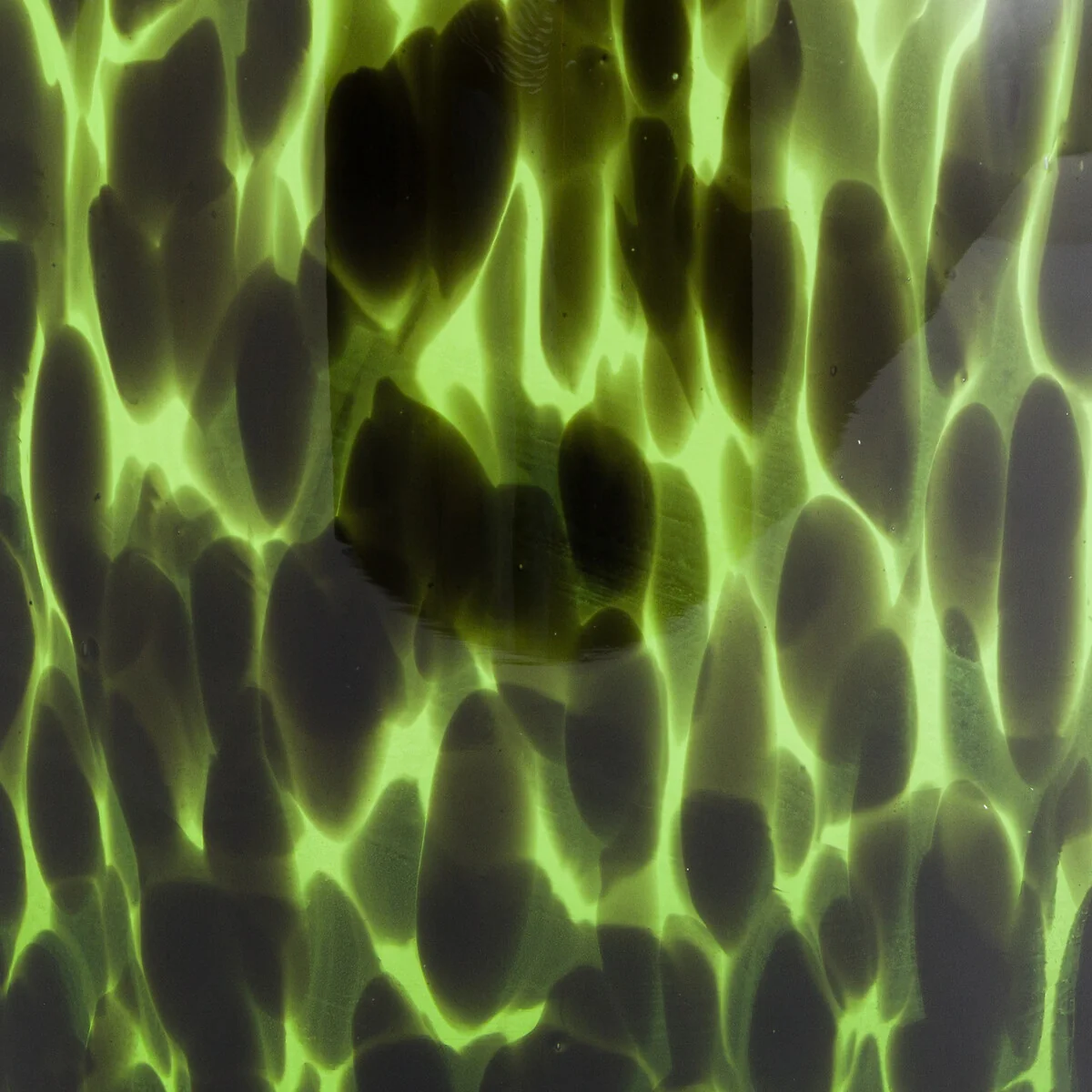 Fauvita H30cm Spotted Glass Vase – image 3