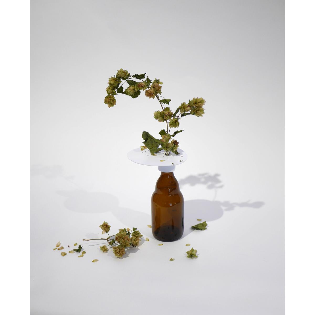 Beer & Add'on Accessory - / For transforming a beer bottle into a single-stem vase by Aequo Design White – image 4