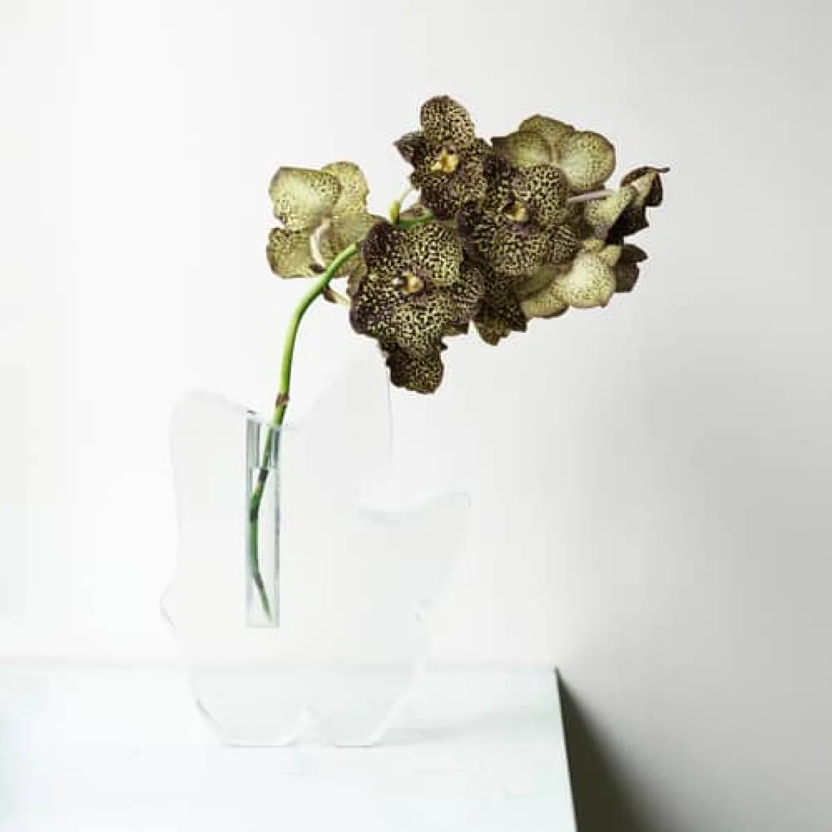 Draw Large Bud vase composite material transparent / Resin - H 28 cm - Normann Copenhagen – image 4