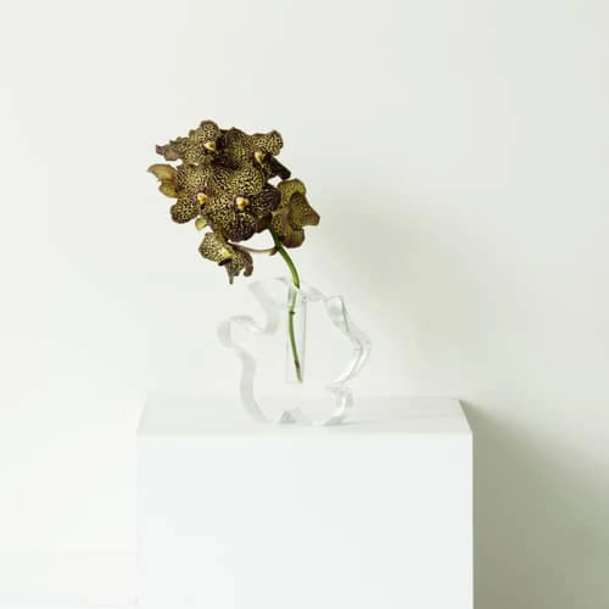 Draw Small Bud vase composite material transparent / Resin - H 17 cm - Normann Copenhagen – image 3