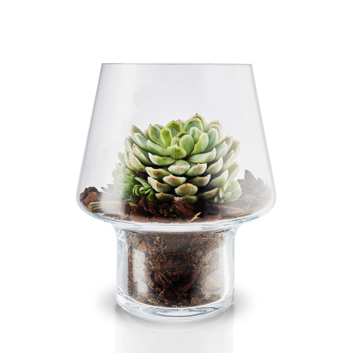 Small Vase - / For succulents - Ø 15 cm by Eva Solo Transparent – image 2