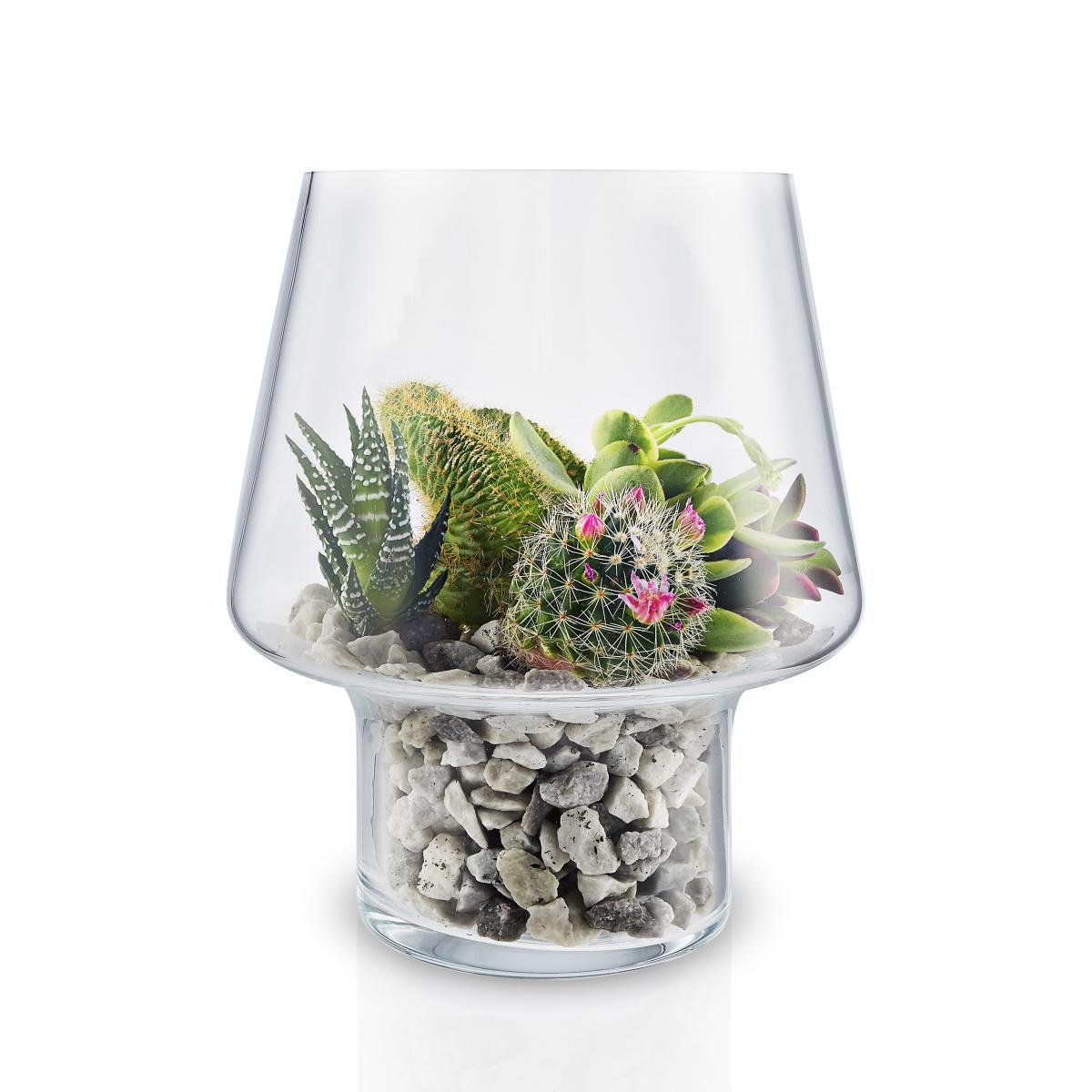 Small Vase - / For succulents - Ø 15 cm by Eva Solo Transparent – image 3